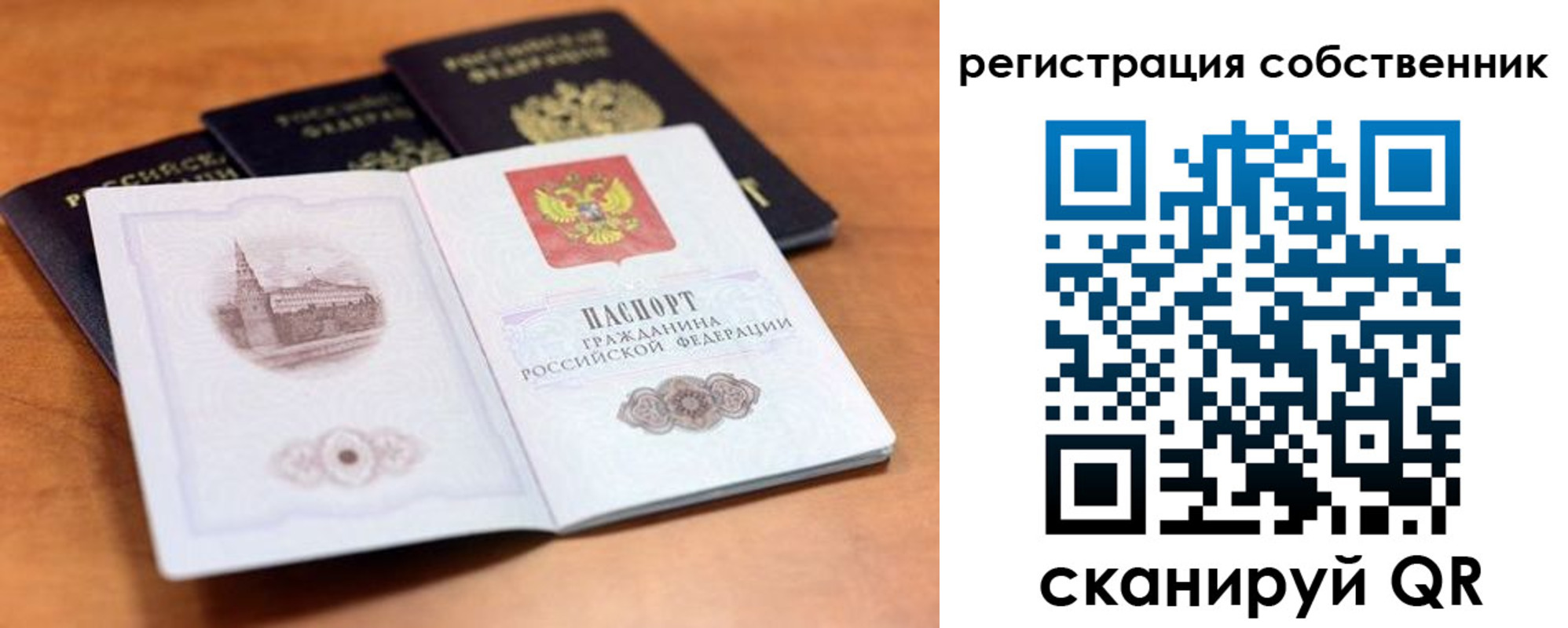 временная регистрация 2025 в Светлогорске